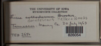 Image Associated With the Occurence